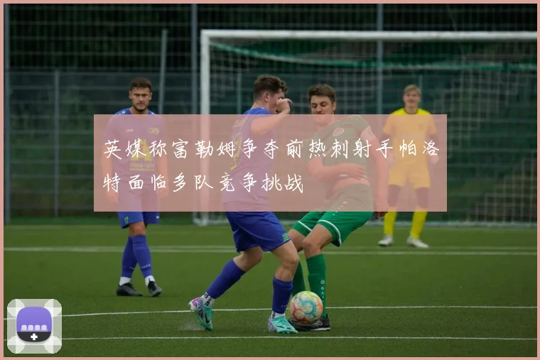 英媒称富勒姆争夺前热刺射手帕洛特面临多队竞争挑战