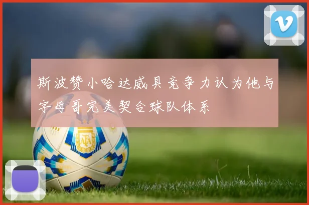 斯波赞小哈达威具竞争力认为他与字母哥完美契合球队体系