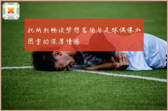 托纳利畅谈梦想客场与足球偶像加图索的深厚情感